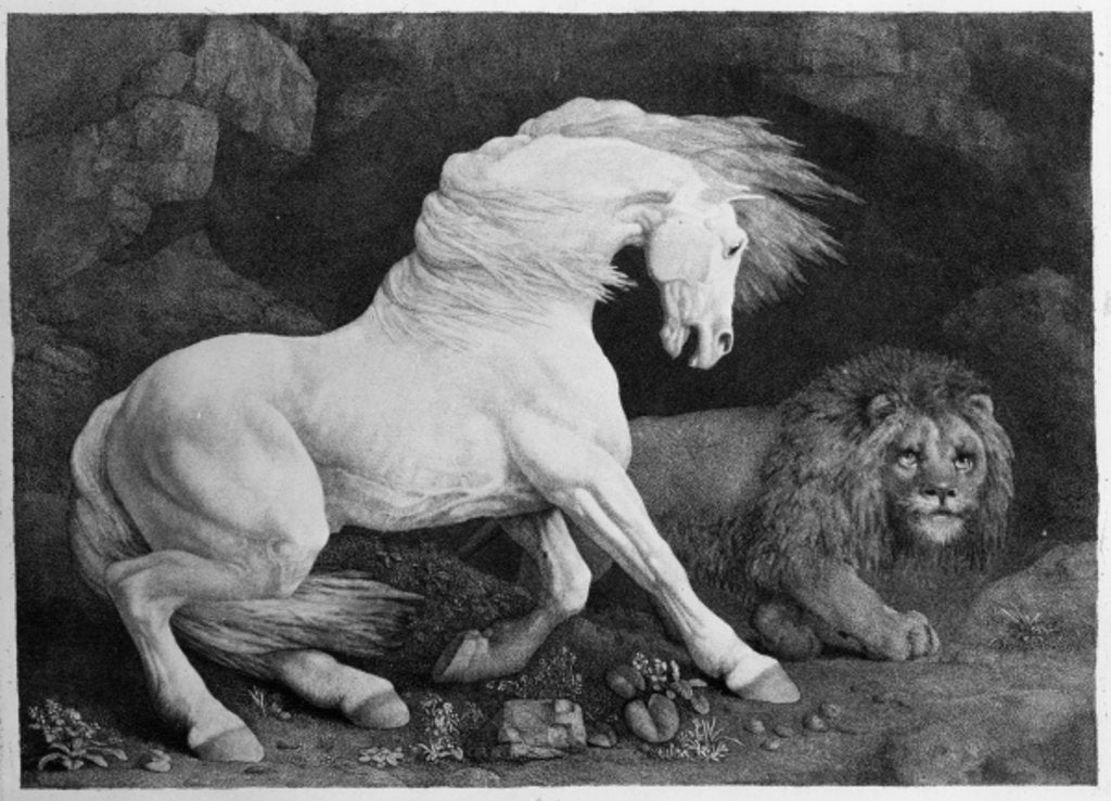 Detail of A Horse Affrighted by a Lion, engraved by the artist, 1788 by George Stubbs