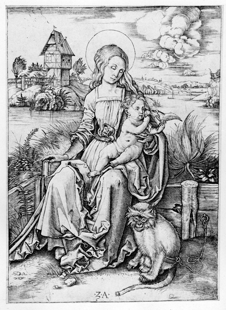 Detail of Madonna with the monkey by Albrecht (after) Durer or Duerer
