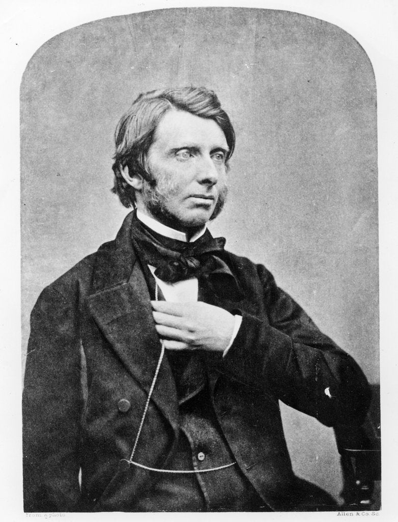 Detail of John Ruskin by English Photographer