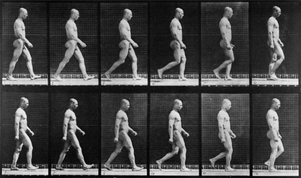 Detail of Man walking by Eadweard Muybridge