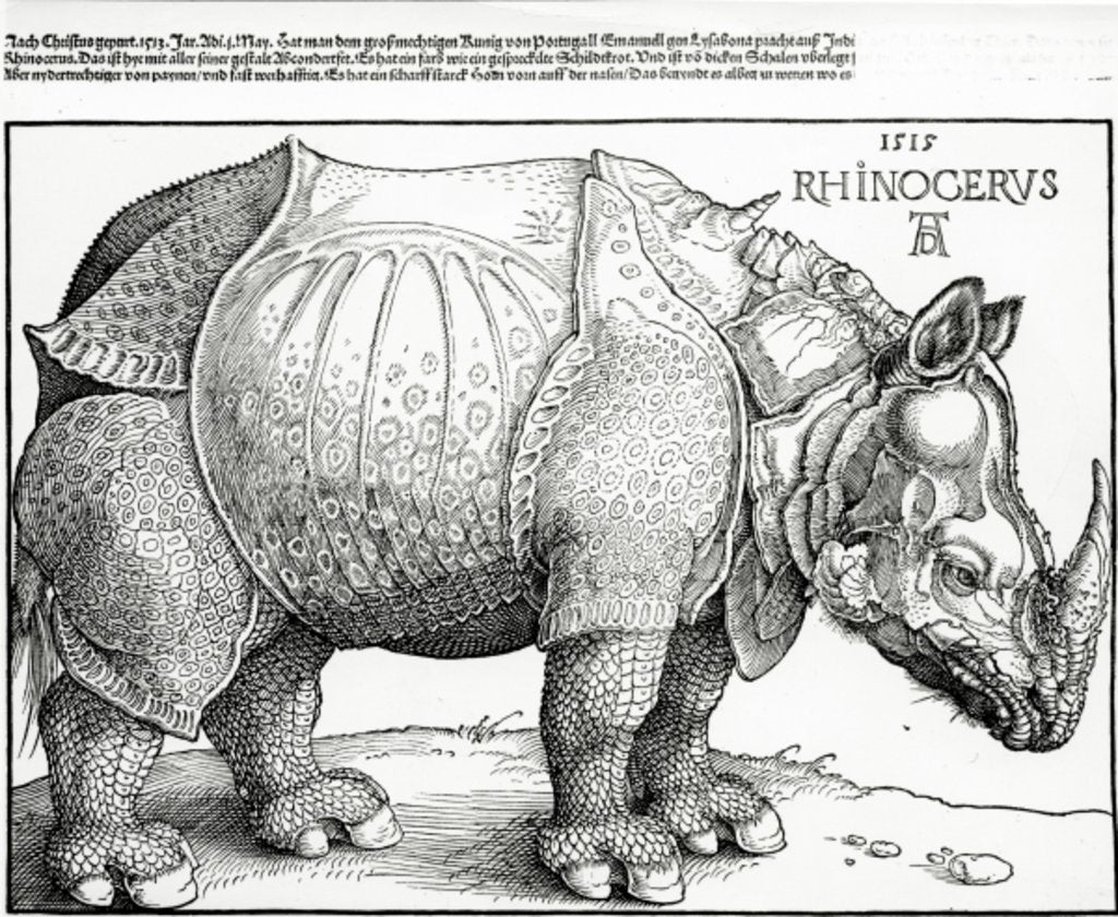 Detail of The Rhinoceros, 1515 by Albrecht Dürer or Duerer