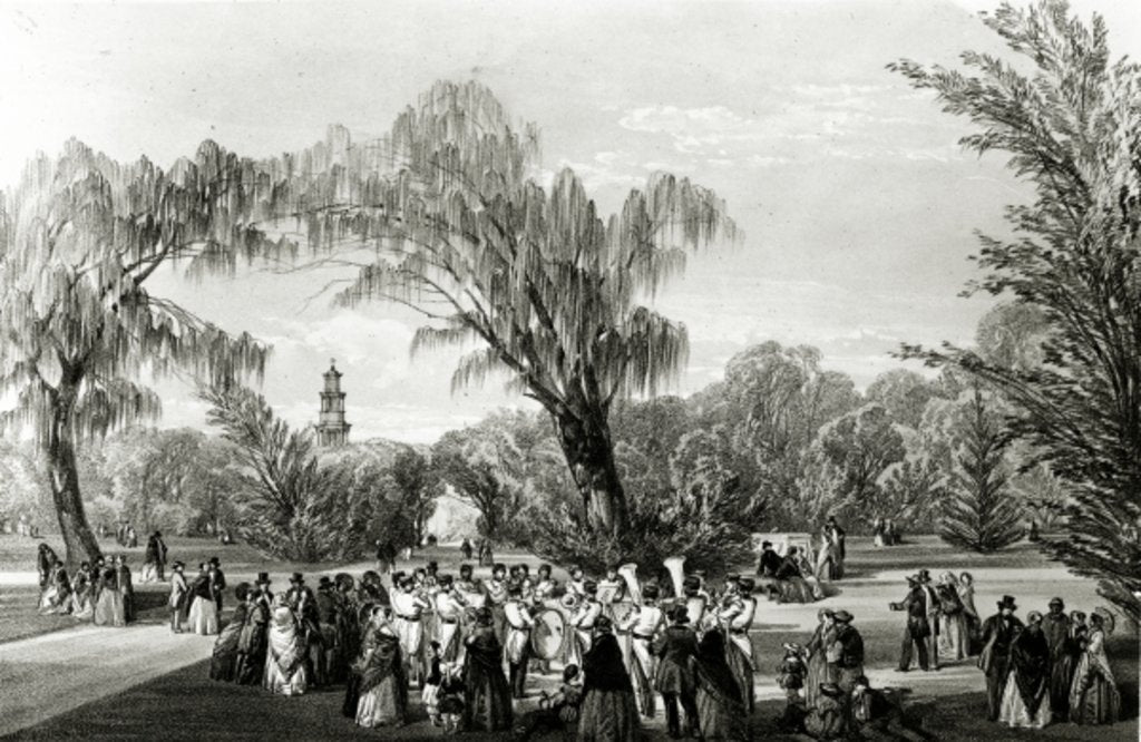 Detail of Botanical Gardens, Cape Town, print made by W. Simpson, c.1850s by Thomas William Bowler
