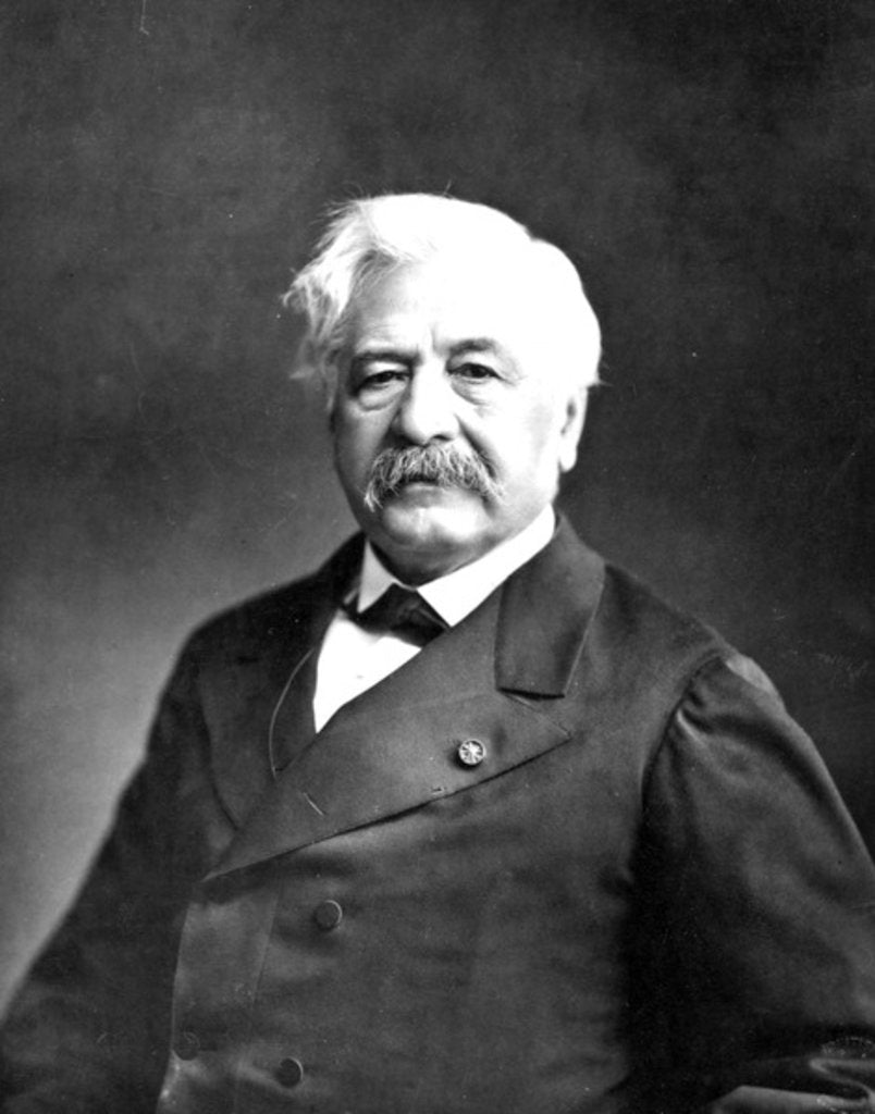 Detail of Vicomte Ferdinand Lesseps by Etienne Carjat