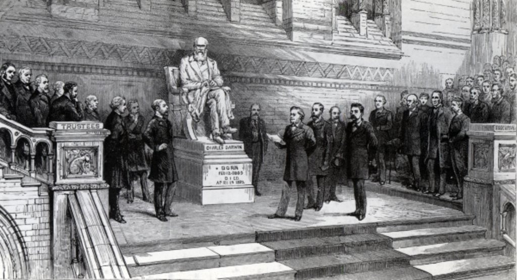 Detail of Unveiling the statue of the late Charles Darwin in the Natural History Museum, South Kensington, 9th June 1885 by English School