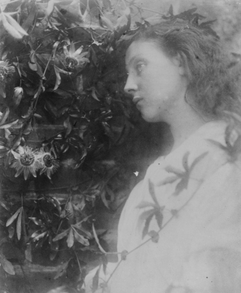 Detail of Illustration for the poem 'Maud' by Alfred, Lord Tennyson, 1865 by Julia Margaret Cameron