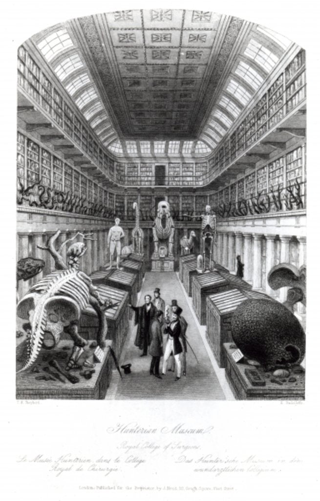 Detail of The Hunterian Museum by Thomas Hosmer Shepherd