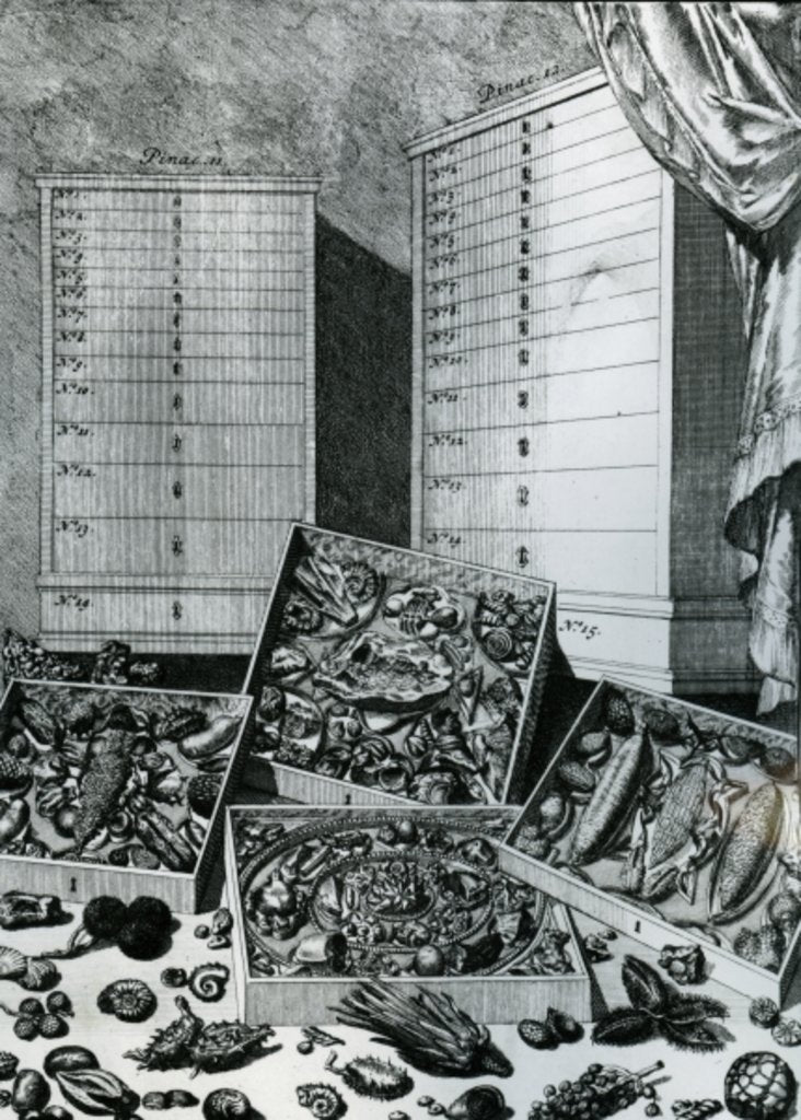 Detail of Table VII from 'Elenchus Tabularum' by Levinus Vincent, published 1719 by Dutch School