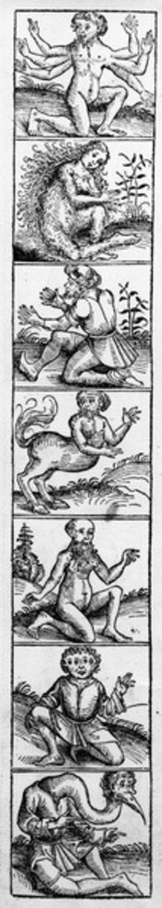 Detail of Monsters from the 'Nuremberg Chronicle' by Hartmann Schedel, published 1493 by Michael Wolgemut or Wolgemuth