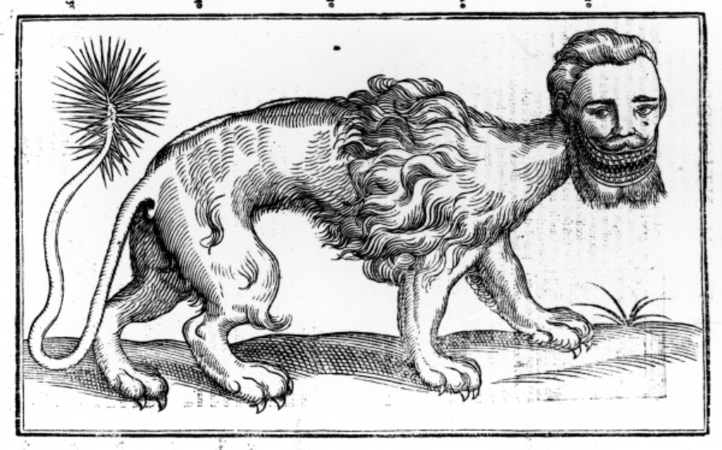 Detail of Manticore from 'Historie of Foure-Footed Beastes' by Edward Topsell, published 1607 by Edward Topsell