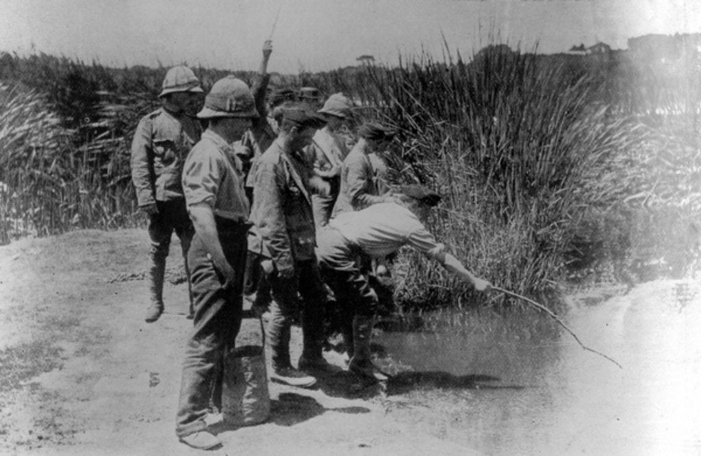 Detail of Off duty soldiers during WWI, fishing for sticklebacks by English Photographer