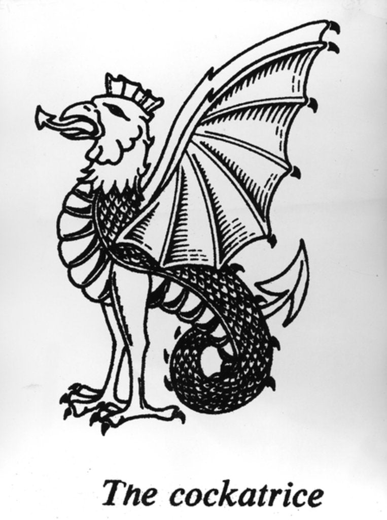 Detail of The Cockatrice by English School