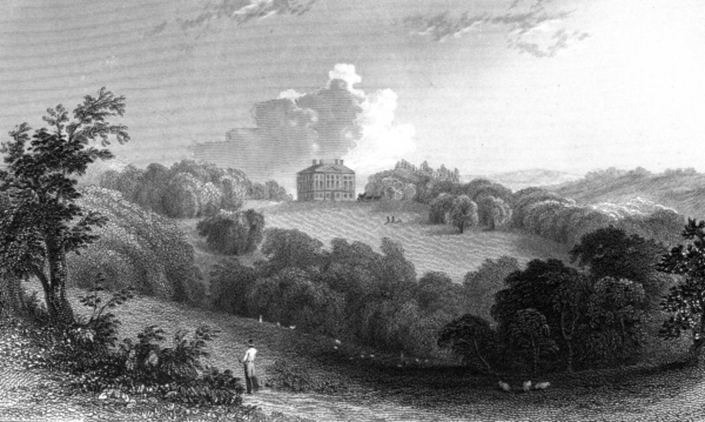 Detail of Copped Hall, Essex, engraved by Thomas Garner, 1832 by William Henry (after) Bartlett