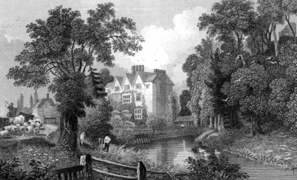 Detail of The Moat of Ongar Castle and Castle House, Essex, engraved by Henry Wallis, 1832 by William Henry (after) Bartlett