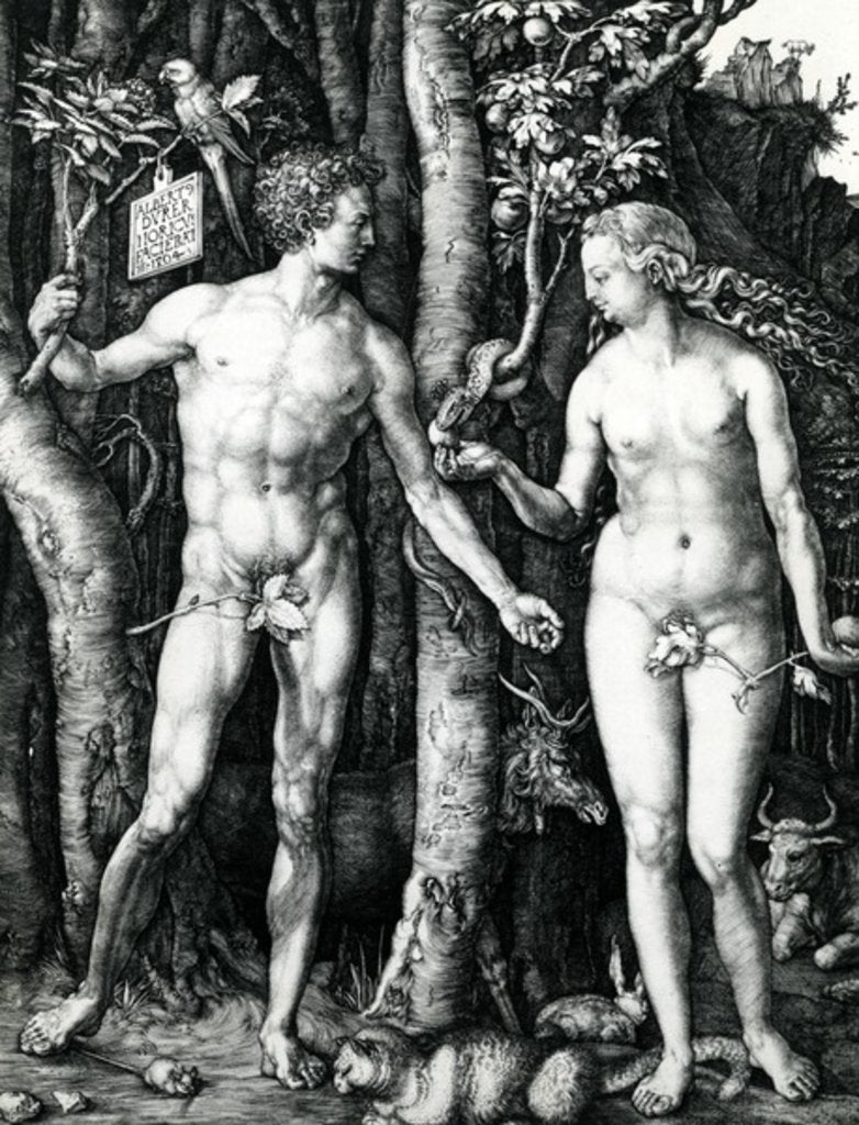 Detail of Adam and Eve, 1504 by Albrecht Dürer or Duerer