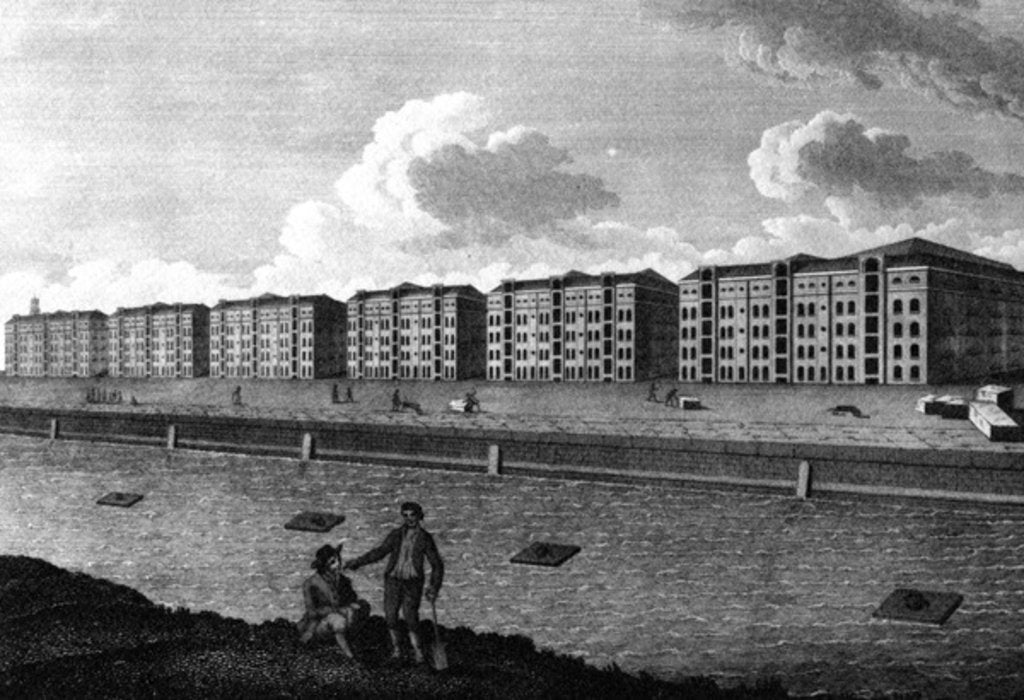 Detail of A View of the Warehouses and West-India Dock, 1803 by English School
