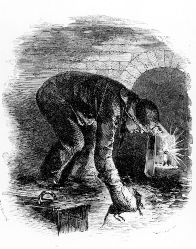 Detail of The Rat-Catchers of the Sewers by English School