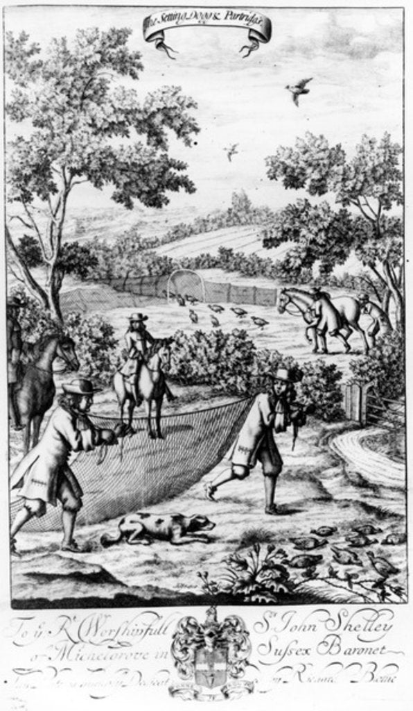 Detail of The Setting Dog and Partridges by English School