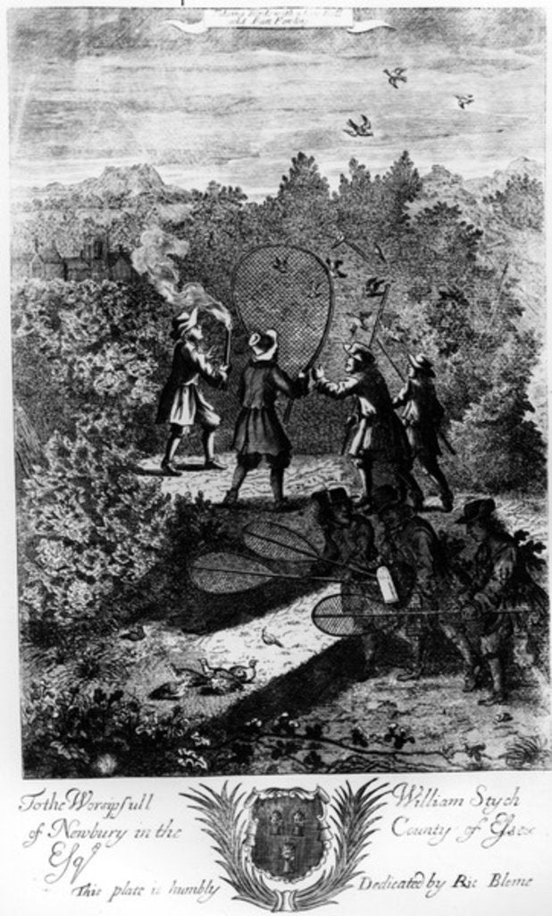 Detail of Taking birds with a net by English School