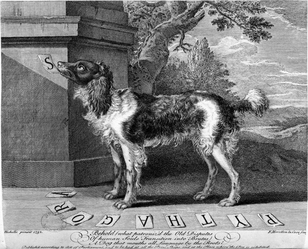 Detail of The New Chien Savant, or Learned Dog, print made by F-Morellon la Cave, 1752 by Sutton (after) Nicholls
