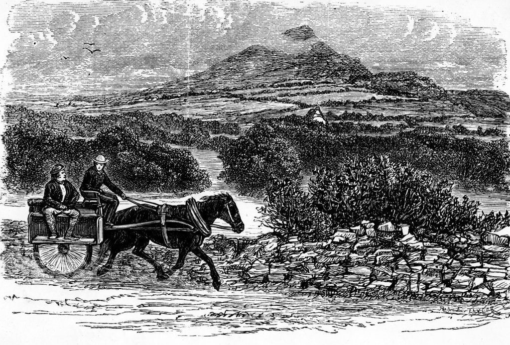 Detail of County Wicklow, print made by E. Taylor by Irish School