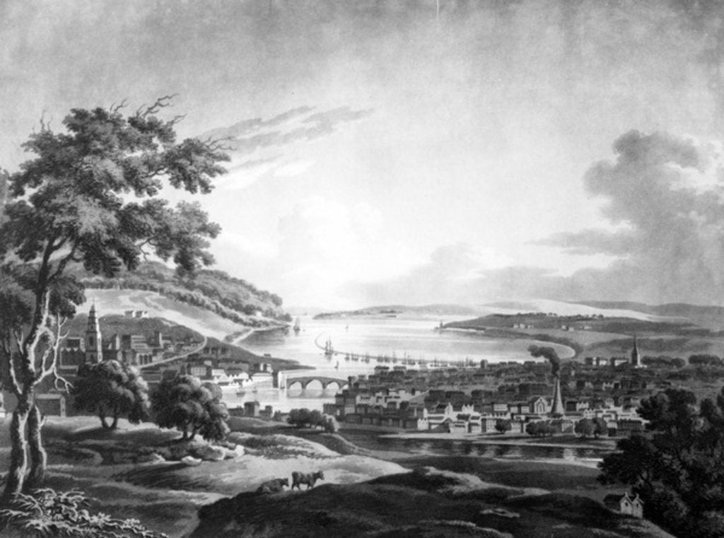 Detail of The City of Cork, 1799 by Irish School