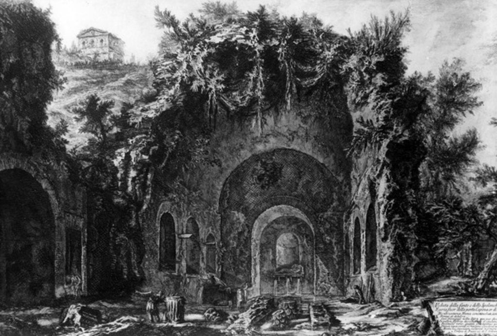 Detail of View of the Grotto of Egeria outside the Porta Capena by Giovanni Battista Piranesi