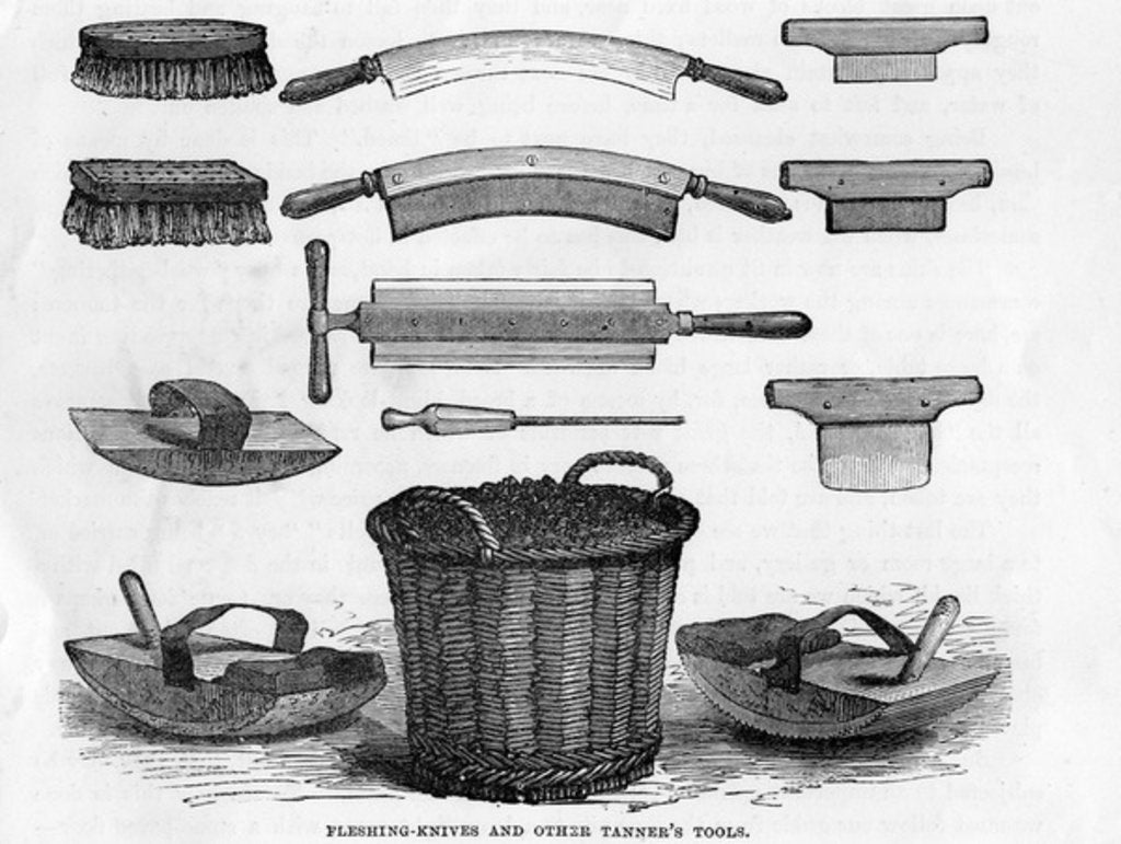 Detail of Fleshing Knives and other Tanner's Tools by English School