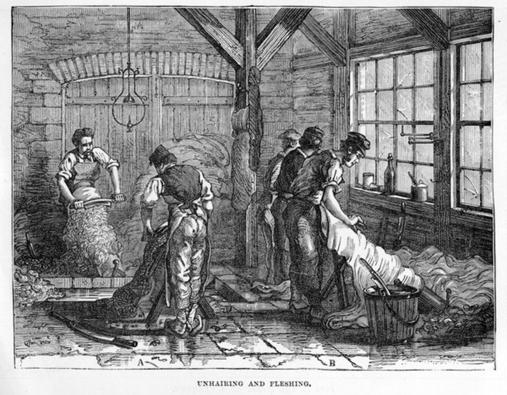 Detail of Unhairing and Fleshing by English School