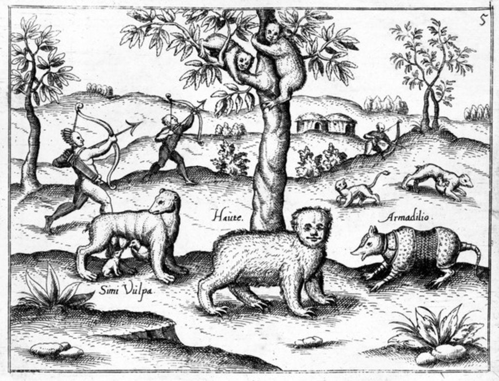 Detail of Simi Vulpa, Haute and Armadilio by English School