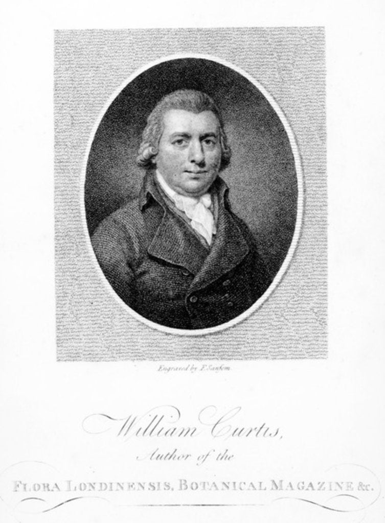 Detail of William Curtis, engraved by F. Sansom, 1790 by (after) English School