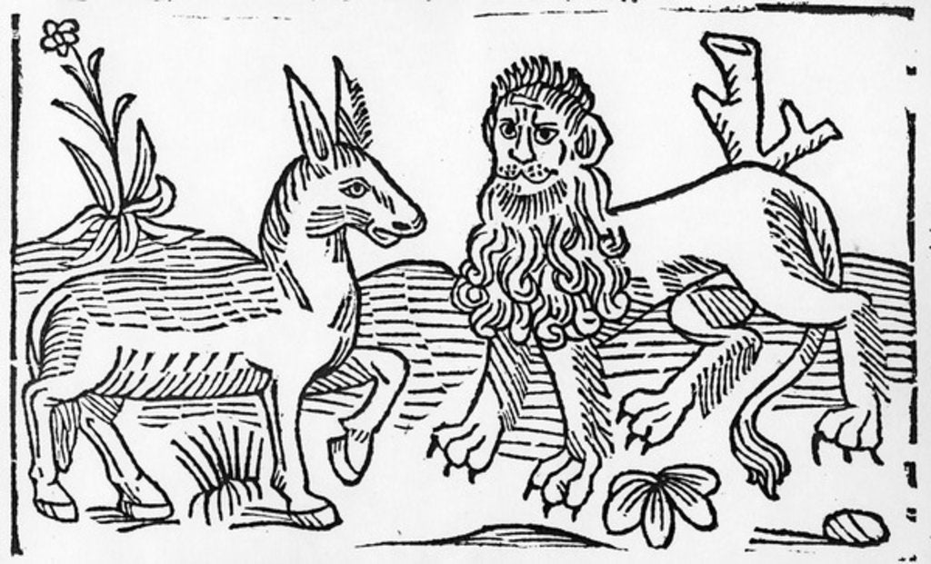 Detail of The Lion and the Ass by English School