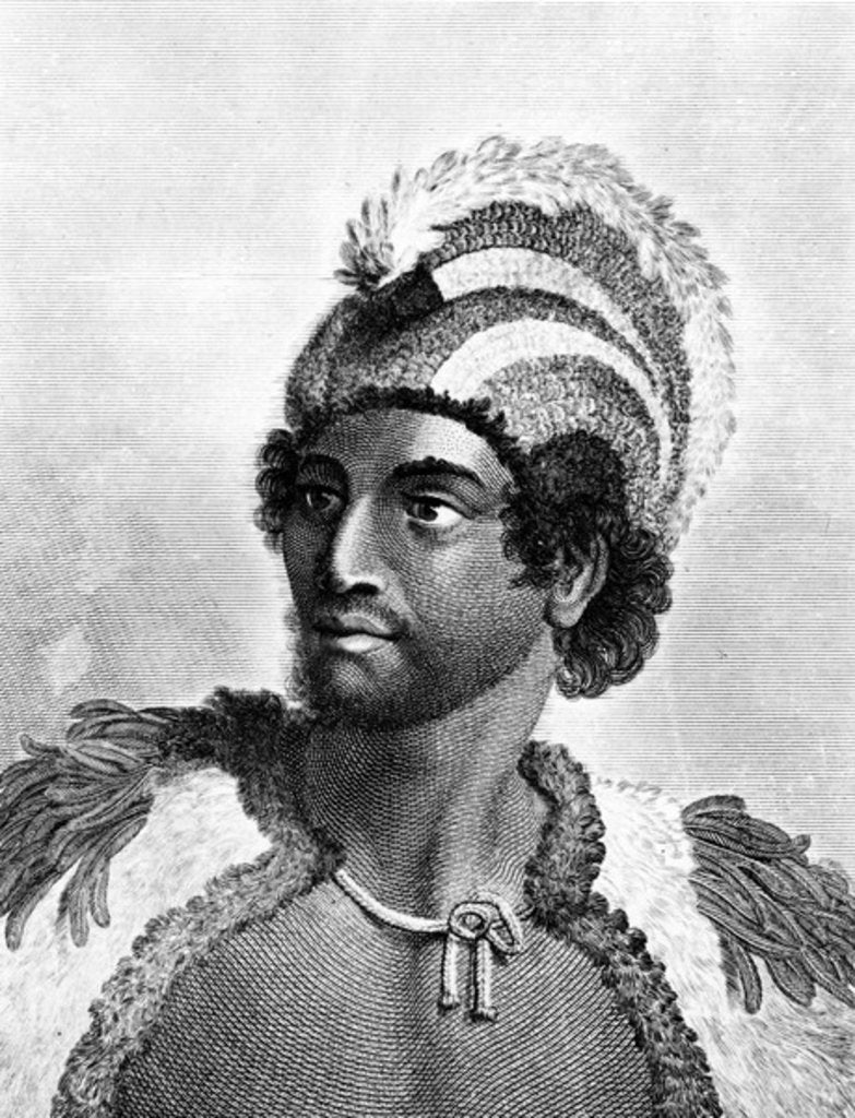 Detail of Portrait of Kaneena, a Chief of the Sandwich Islands in the North Pacific Ocean by John Webber