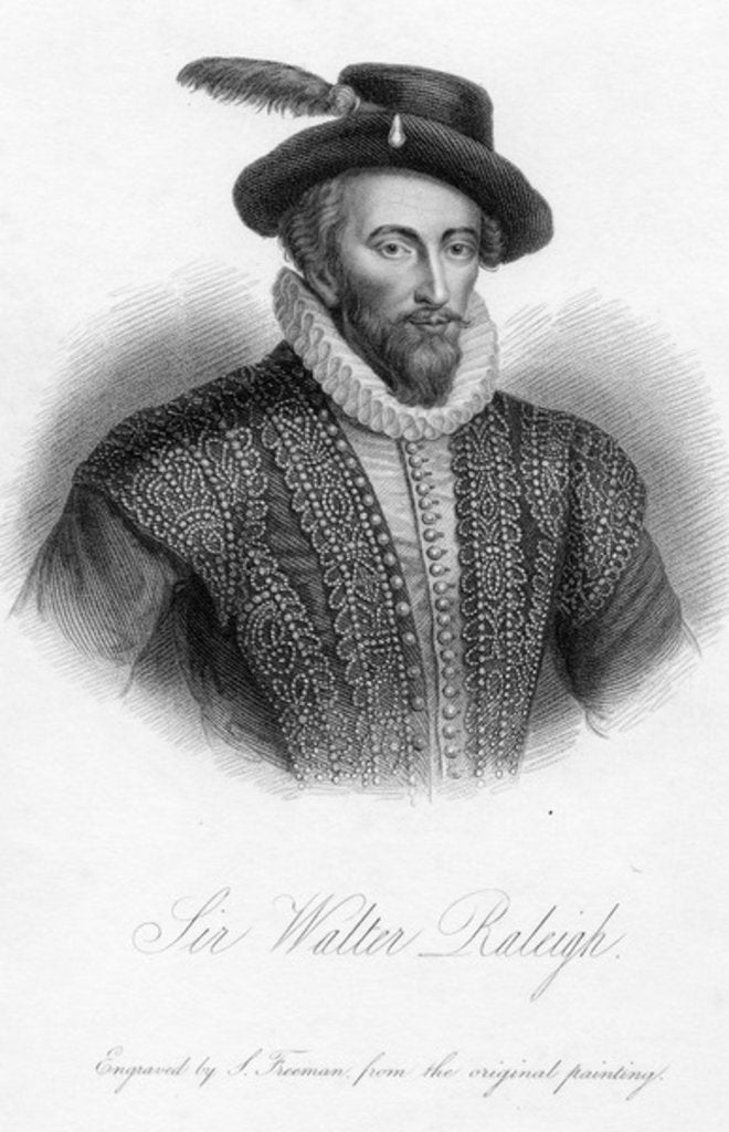 Detail of Sir Walter Raleigh, print made by S. Freeman by Marcus the Younger (after) Gheeraerts