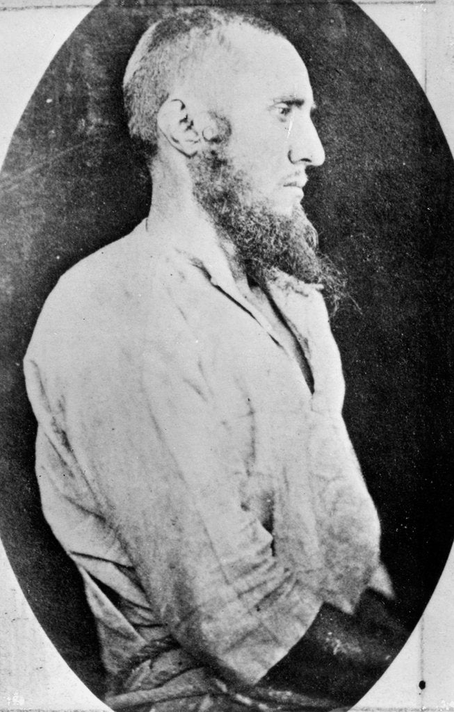 Detail of Portrait of Gavrilo Princip who assassinated the Archduke Franz Ferdinand and his wife Sophie, Duchess of Hohenberg on the 28th June 1914 by Photographer Austrian