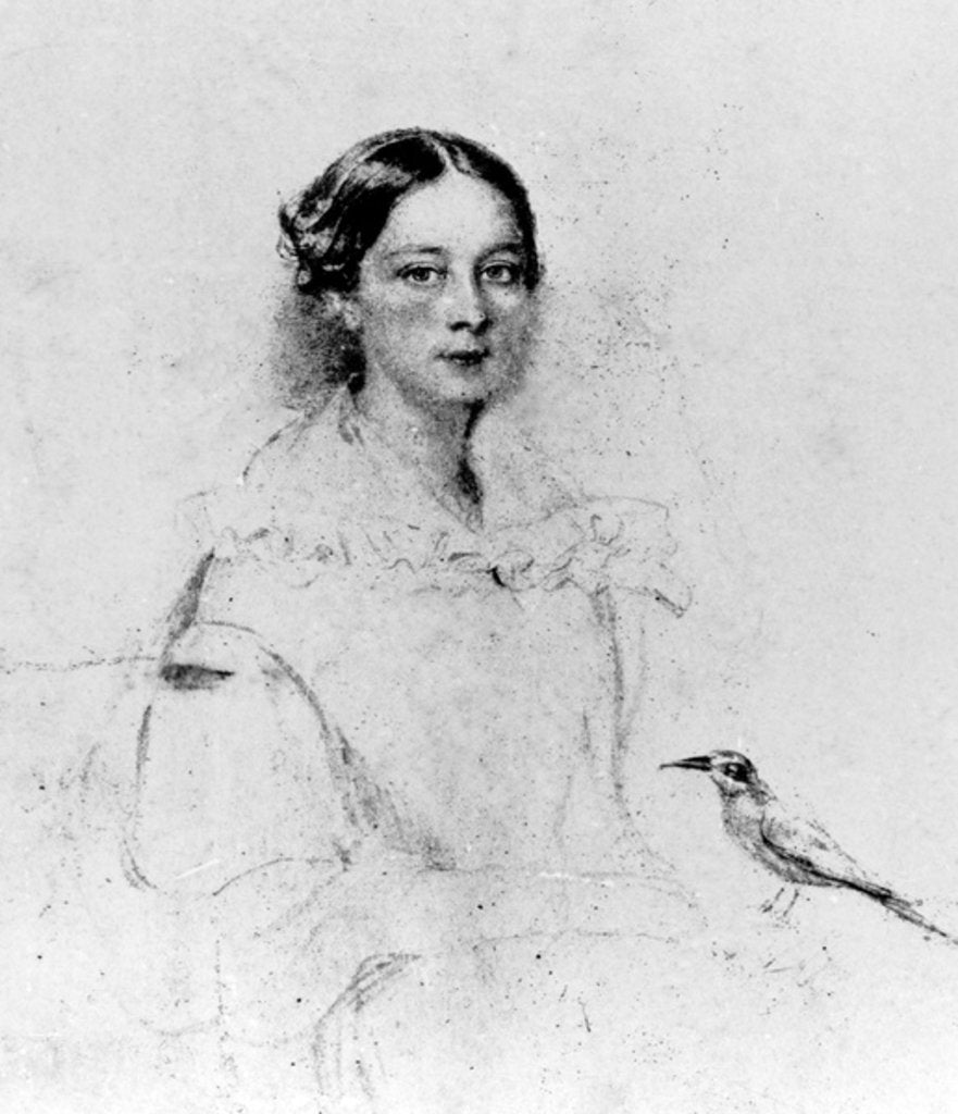 Detail of Portrait of Emily Shore, 19th Century by English School