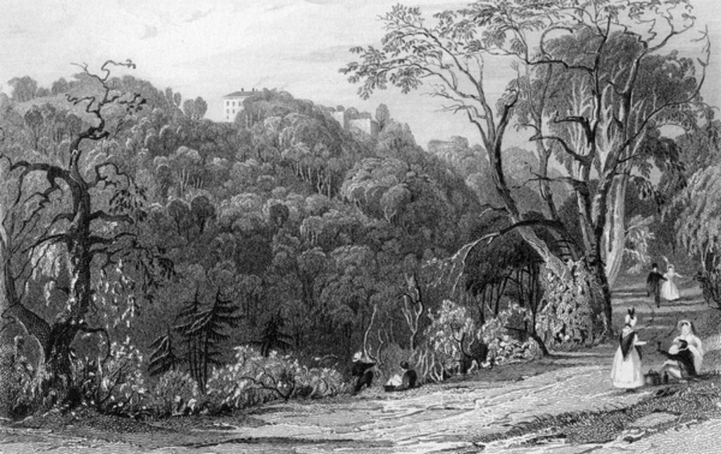 Detail of Castle Eden Hall, Durham, 1833 by Thomas Allom