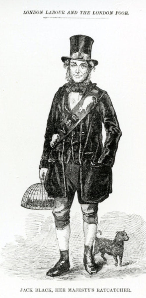 Detail of Jack Black, Her Majesty's Ratcatcher, c.1840 by English School