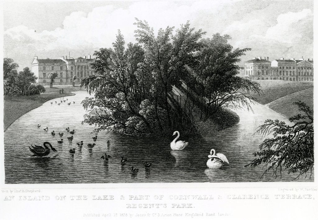 Detail of An island on the lake and part of Cornwall and Clarence Terrace, Regent's Park by Thomas Hosmer Shepherd