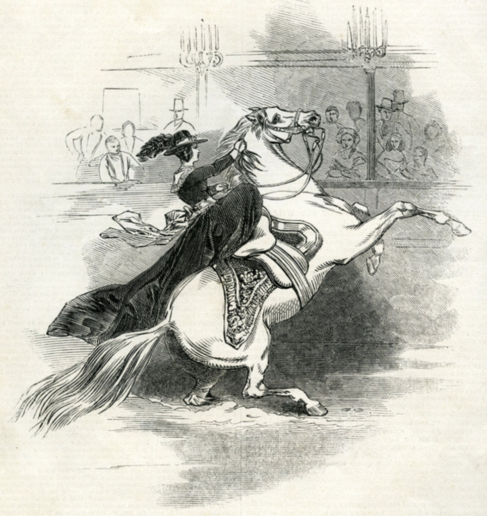 Detail of Astley's Amphitheatre, London, Scene in the circus by English School