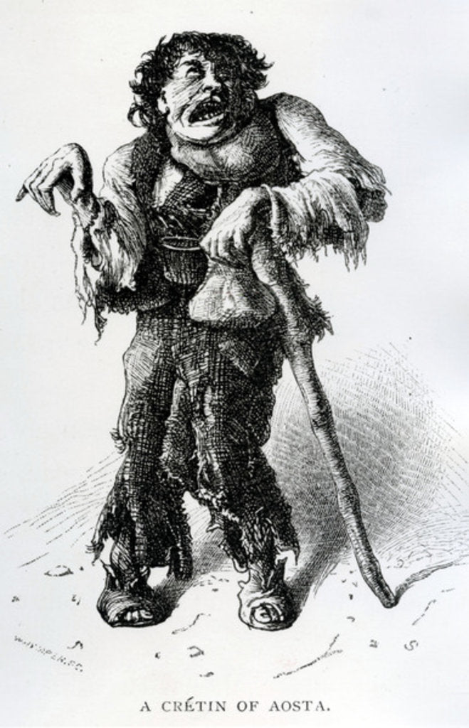 Detail of A Crétin of Aosta, c.1870 by Edward Whymper