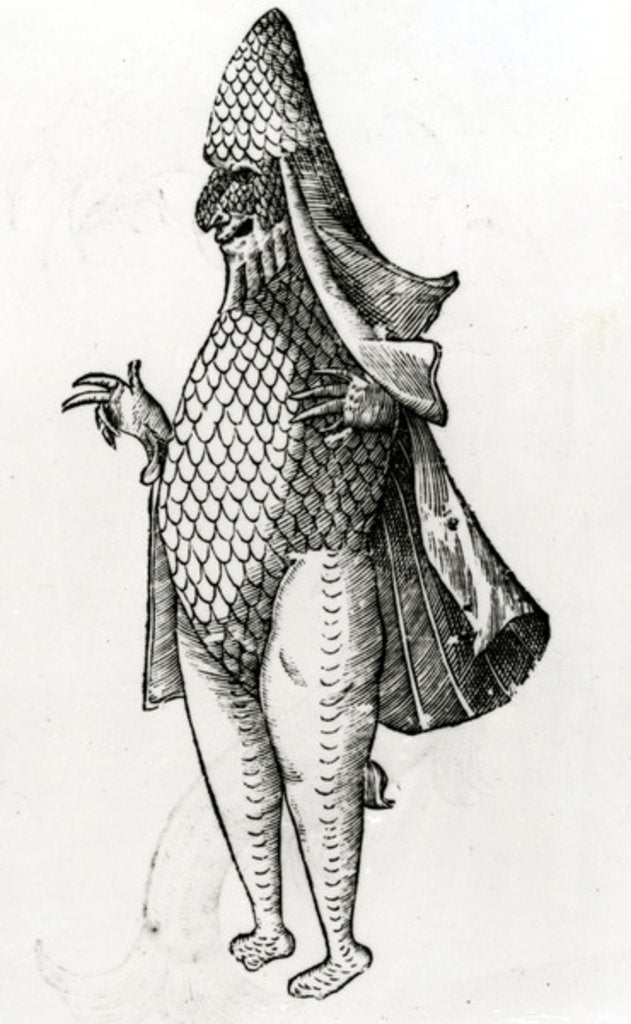 Detail of Monstrum Marinum rudimenta habitus Episcopi referens, 1642 by Italian School