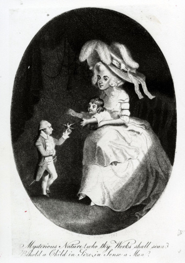 Detail of The little Count Boruwlaski, 1788 by Anthony van Assen