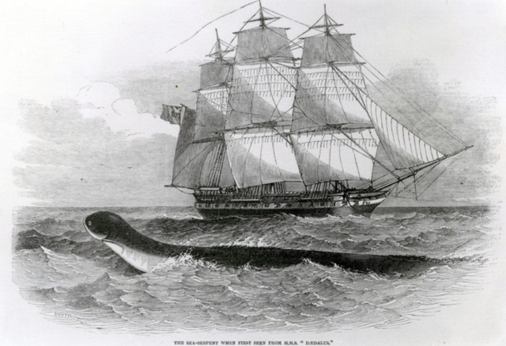 Detail of The Great Sea-Serpent when First Seen from H.M.S. Daedalus by English School