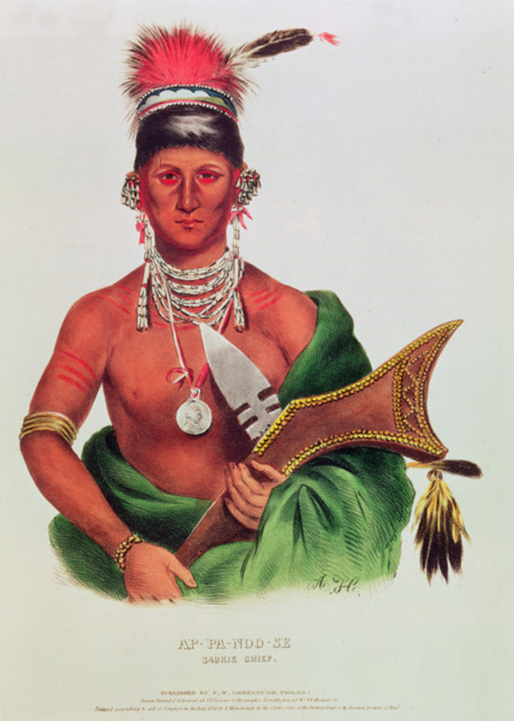 Detail of Ap-Pa-Noo-Se, Saukie Chief by American School