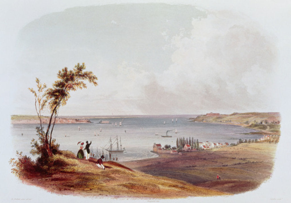 Detail of Entry to the Bay of New York, Staten Island by Karl Bodmer