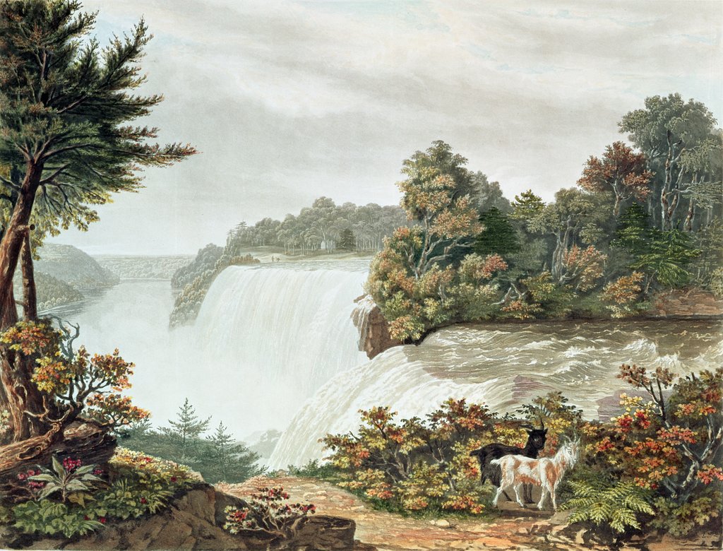 Detail of Niagara Falls, from Goat Island by William James Bennett