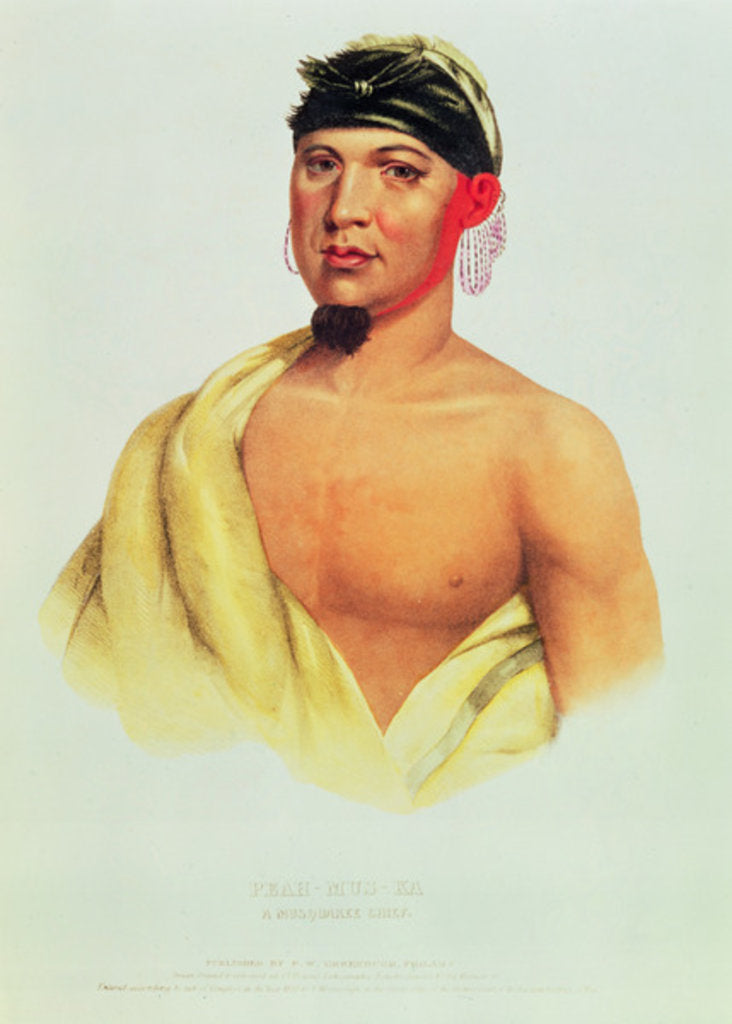Detail of Peah-Mus-Ka, a Musquakee Chief by American School