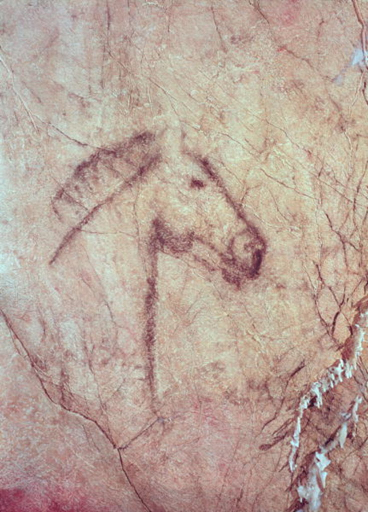 Detail of Head of a Horse by Paleolithic Paleolithic