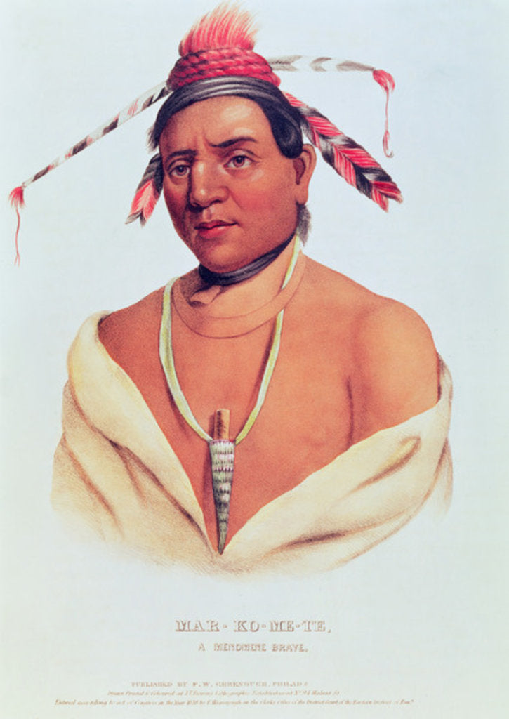 Detail of Portrait of Mar-Ko-Me-Te, A Menomene Brave, 1838 by Charles Bird King