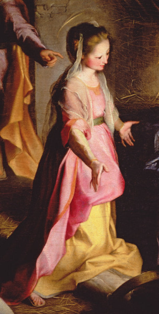 Detail of The Adoration of the Child, 1597 by Federico Fiori Barocci or Baroccio